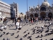 Площад „Сан Марко“ във Венеция остана без гълъби