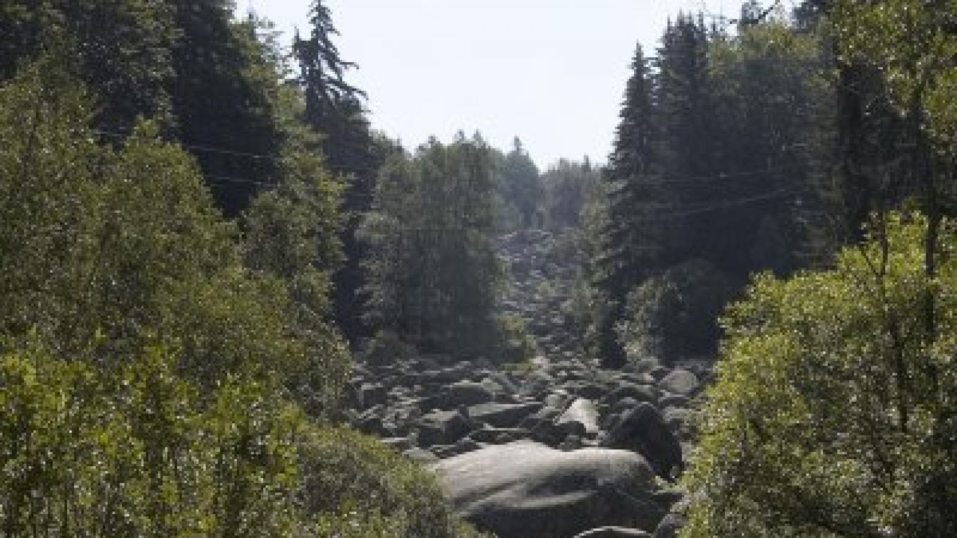 2 годишно дете е било оставено без надзор на Витоша във