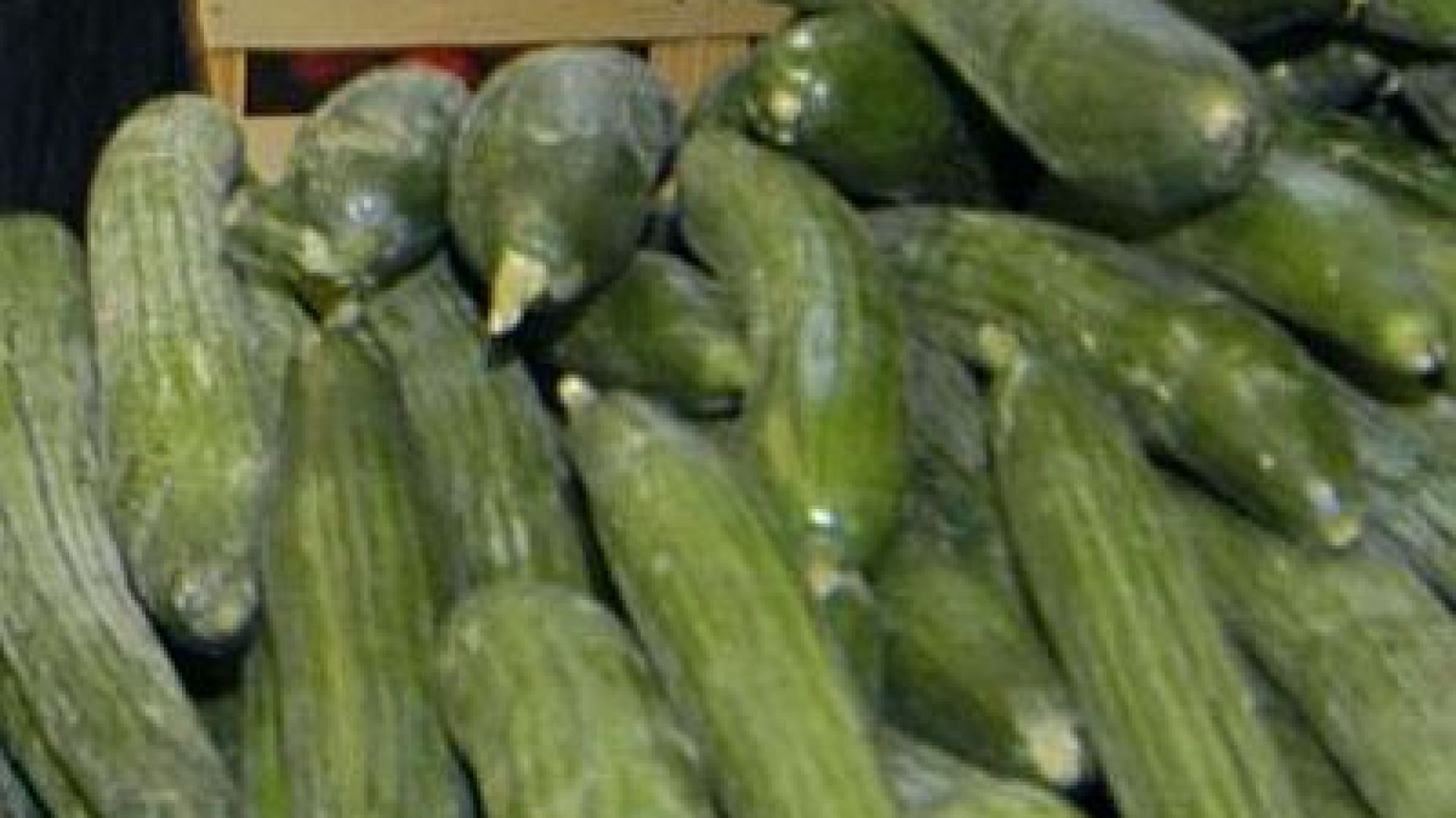 Русия ограничава държавните покупки на краставици и домати от чужбина