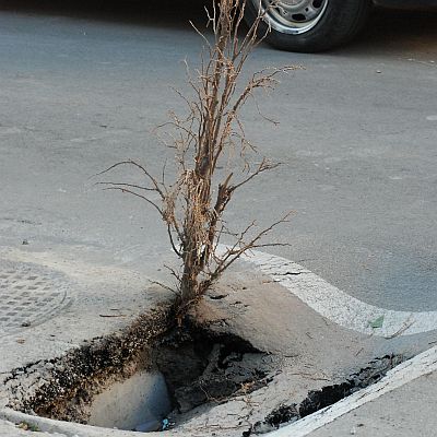 Аварийно асфалтират варненските улици