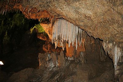 20 сватби в Ягодинската пещера за година