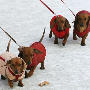 Времето през седмицата