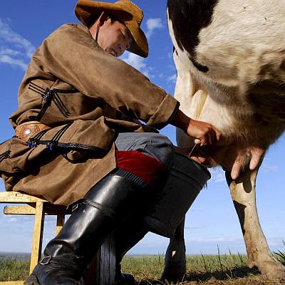 ”Соябук” е социална мрежа за фермери
