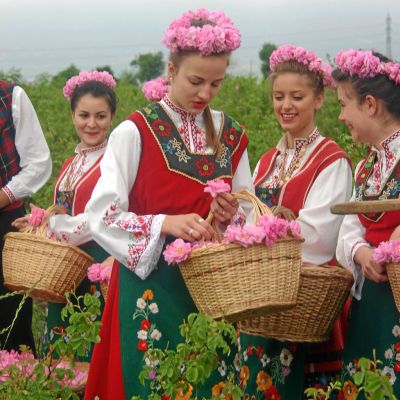 Празникът на розата