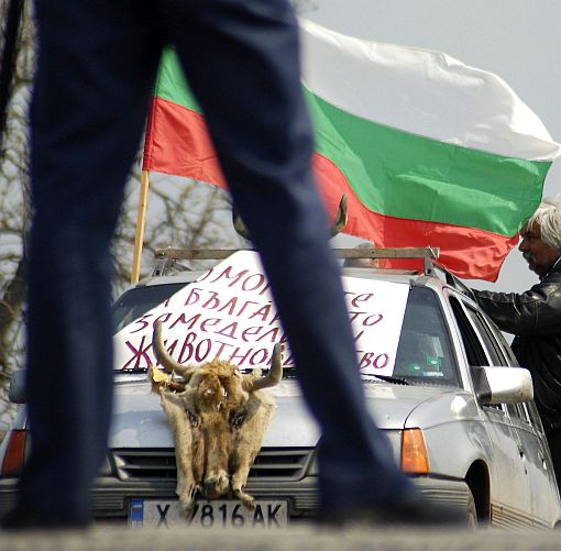 Животновъдите ще блокират българо-турската граница за час в знак на протест