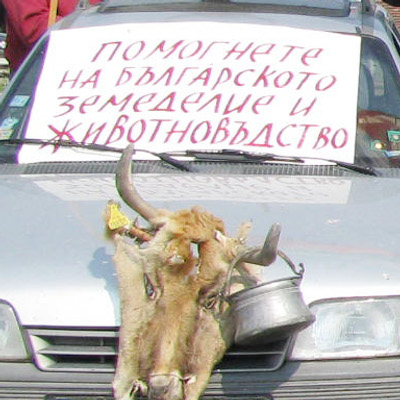 Млади фермери се разгневиха: Омръзна ни от лъжи