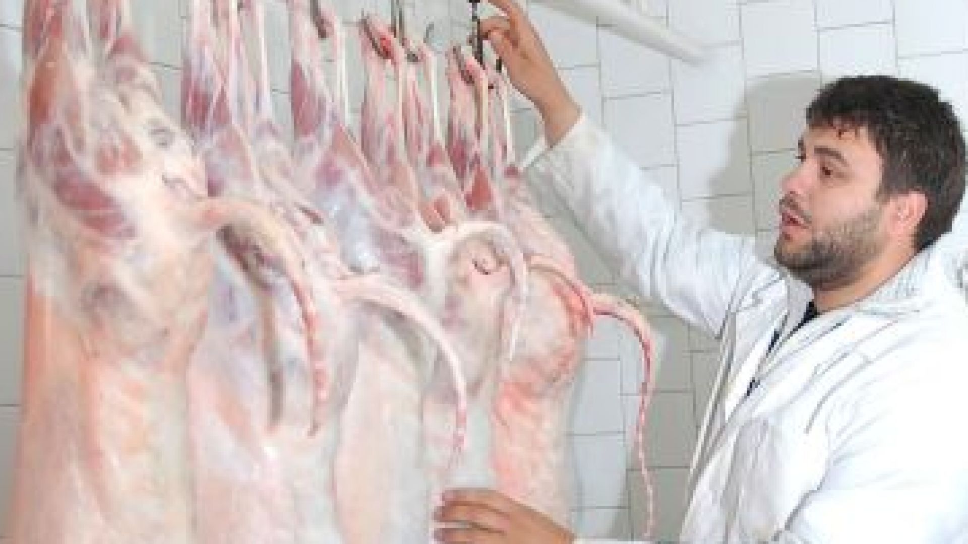 Служители на Агенцията по безопасност за храните конфискуваха от търновски