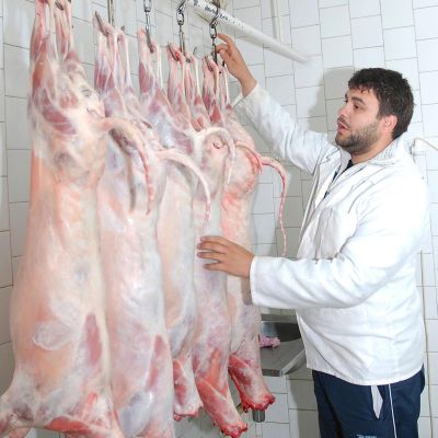 Албански фермери се оплакват от български дъмпинг на агнешко месо