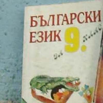 Говорят ли български в избирателните комисии?