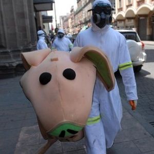 Близо 3000 души са вече жертвите на така наречения свински грип по света