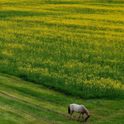 ООН призна глобалното затопляне за заплаха