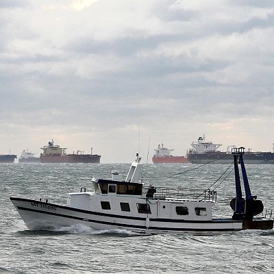 Бум на бракониерите по морето