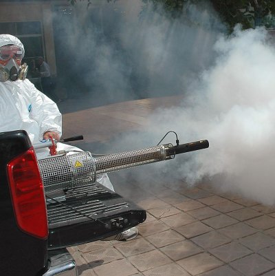 Министерство успокоява за опасните гръцки комари