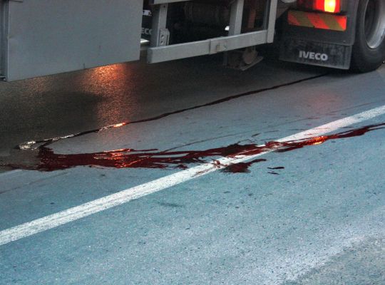 Огромна кървава следа остана на пътя, след като раненият в главата младеж беше откаран с линейка