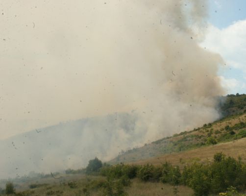 Към мястото са изпратени и военни, както и техника на Гражданска защита