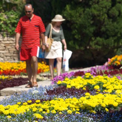 Рекорд в Ботаническата градина