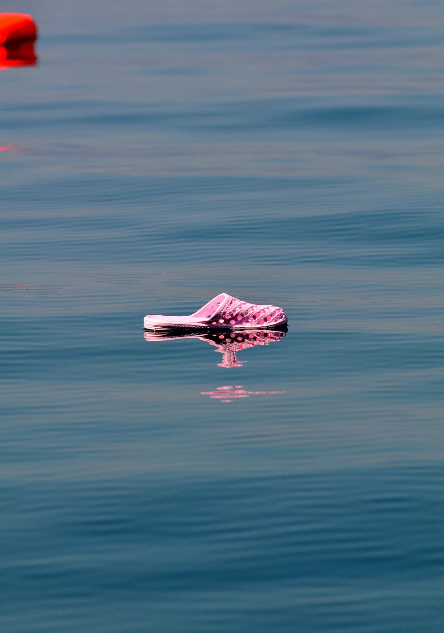 Обувка на повърхността на езерото