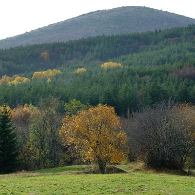 Планът за управление на Природен парк ”Витоша” отново е внесен в МОСВ