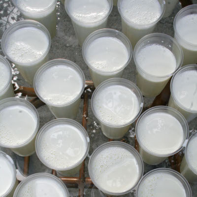 Пазарът на пресни млечни продукти започна да показва някои признаци на съживяване