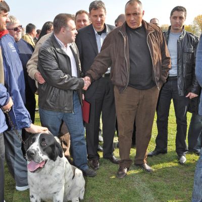 Борисов: Политикът трябва да е като овчарско куче