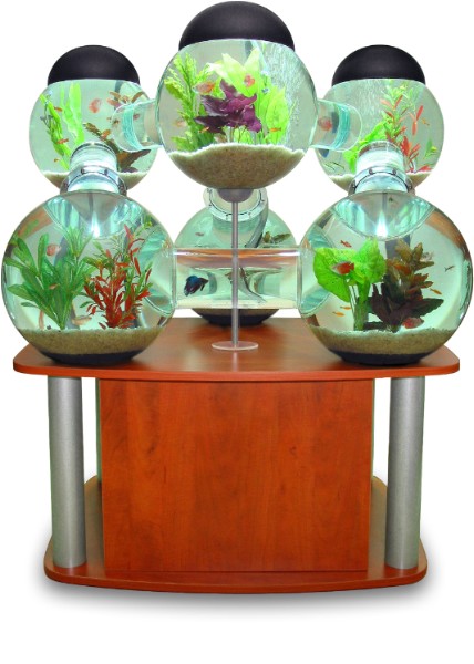 Богаташки аквариум прави декоративните рибки щастливи