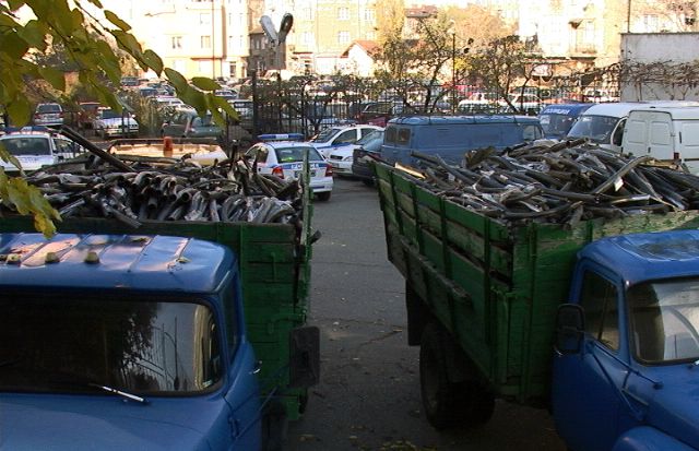 Засега не е ясно от колко време продължават кражбите