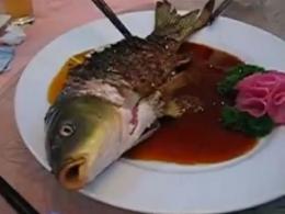 Китайци ядат жива риба