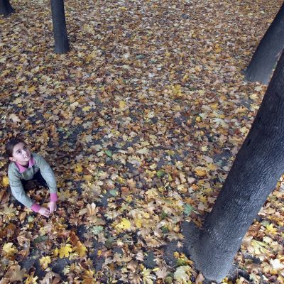 Времето остава топло поне до Никулден