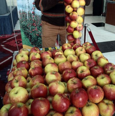 Цената на ябълките се вдига с 18 процента до 1,05 лв