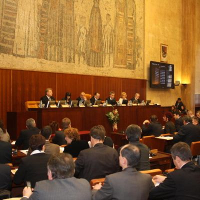 Документът беше одобрен от 86 от общо 120 делегати в събранието на Войводина