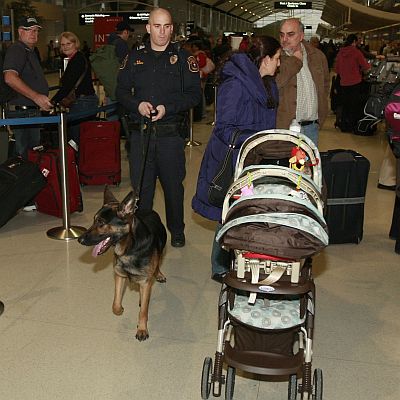 Властите засилиха мерките за сигурност по летищата след неуспешния опит за атентат на самолет от Амстердам за Детройт