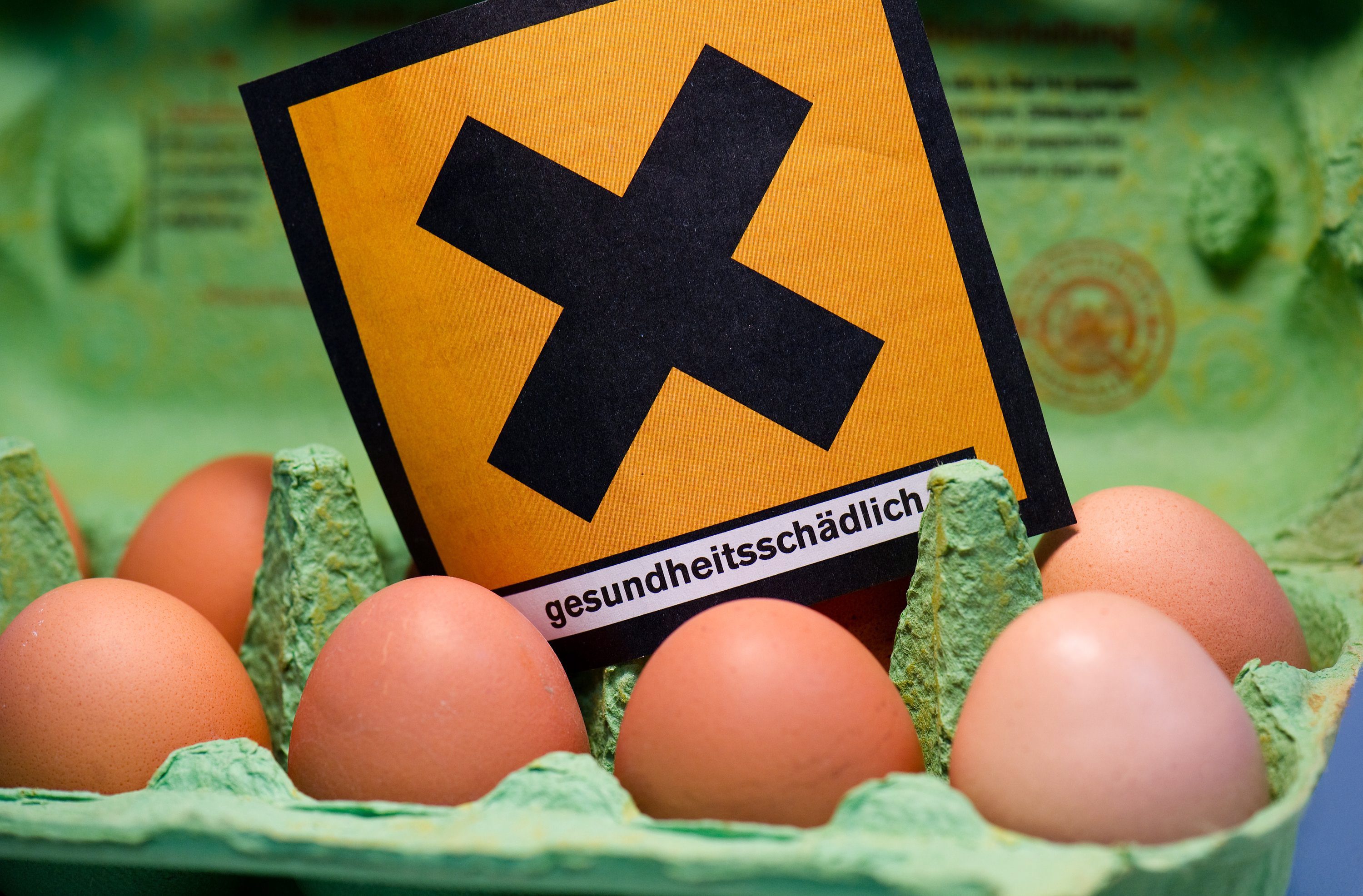 Германия спря от продажба месо и яйца с диоксин
