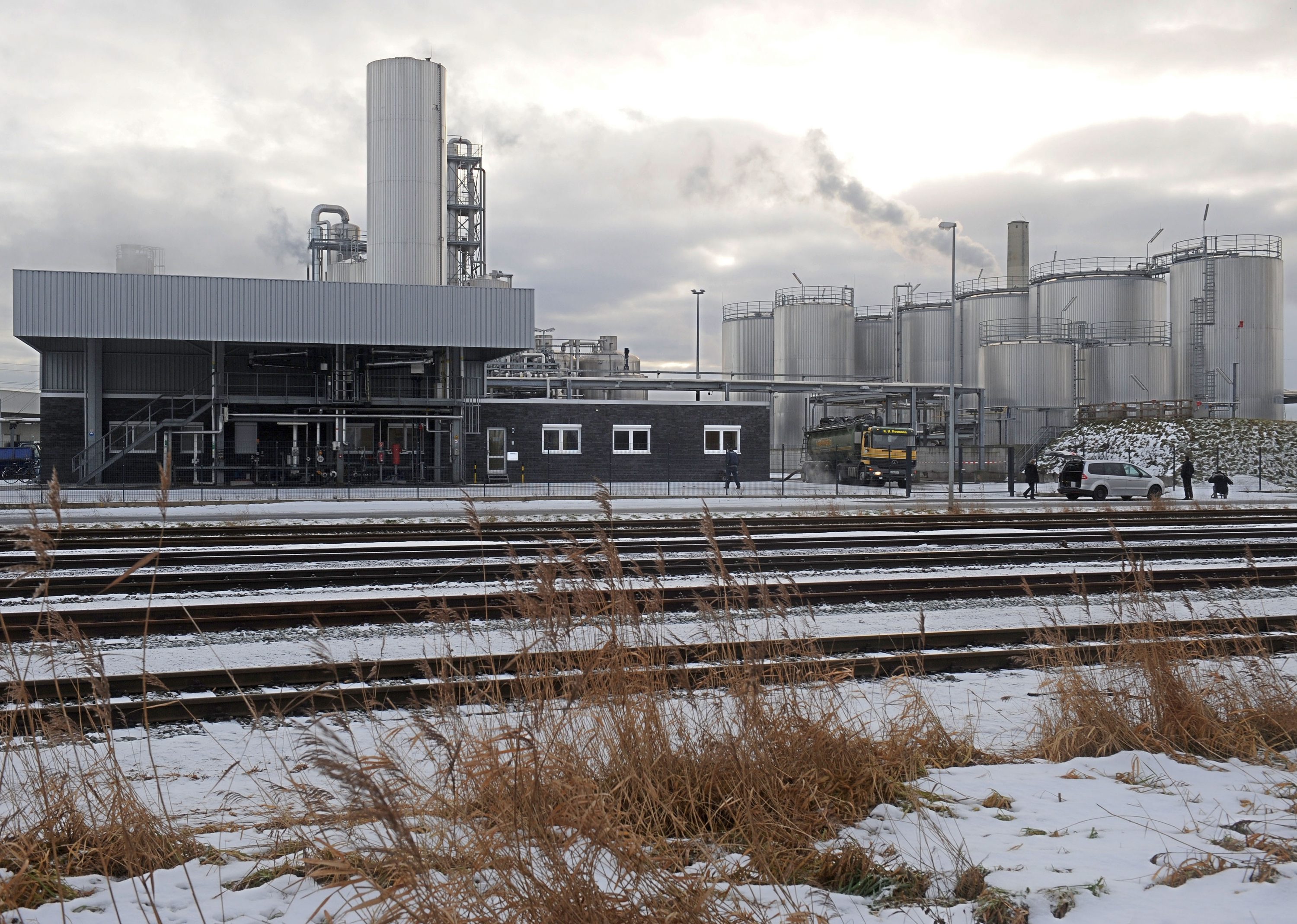 В Германия подозират умишлено заразяване на ферми с диоксин