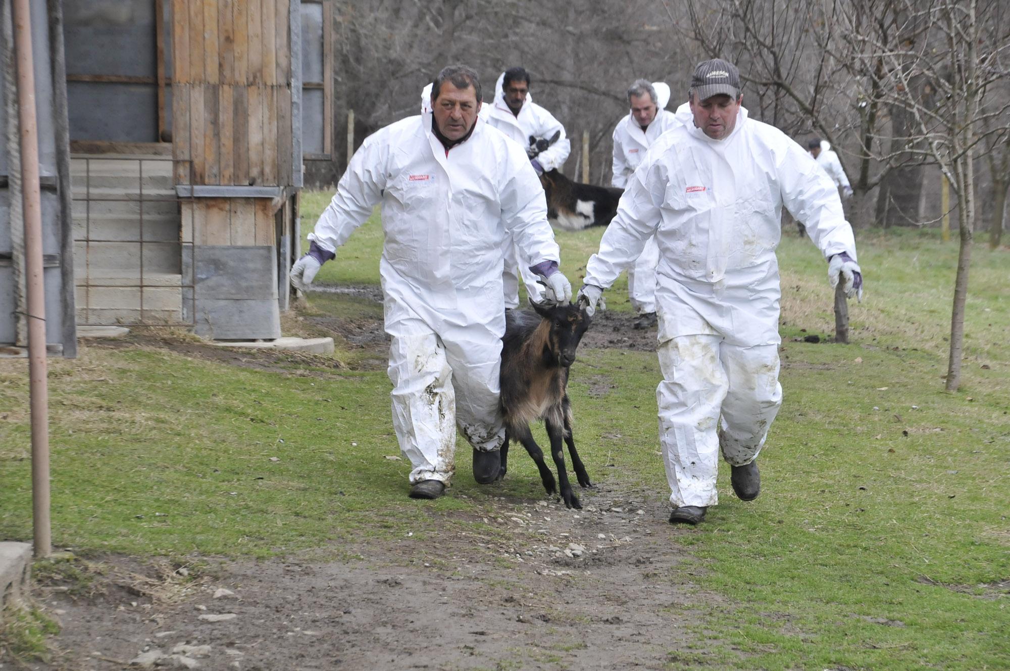 Вдигат отново телени мрежи по турската граница