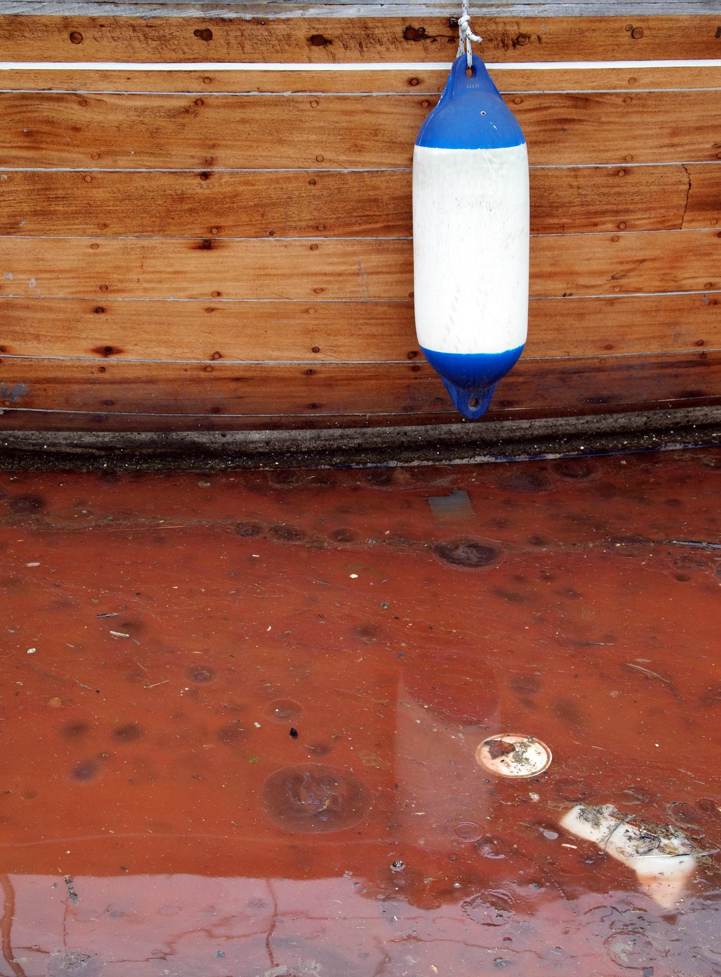 Замърсяване боядиса морето във варненския залив