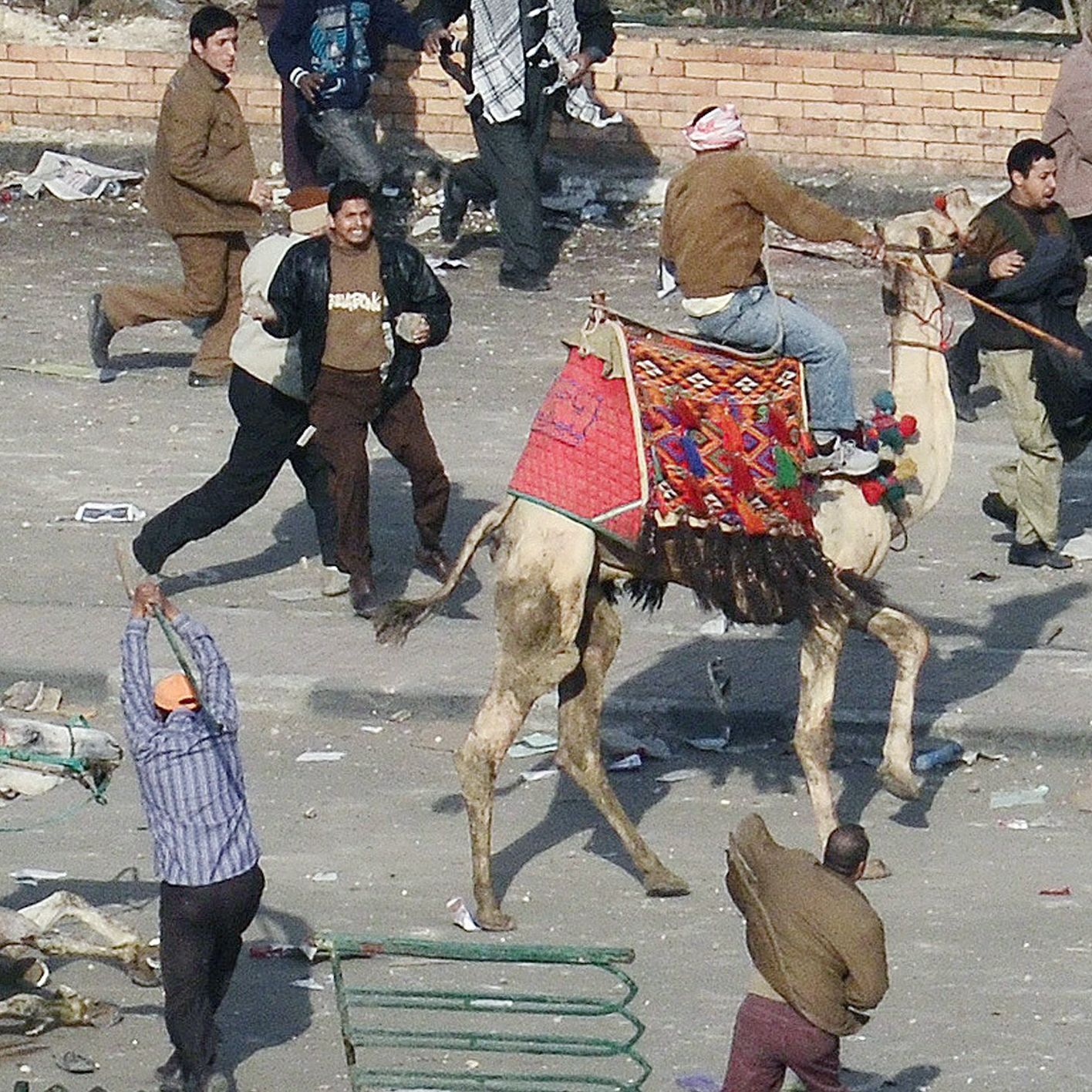 Някои от протестиращите се придвижваха с камили