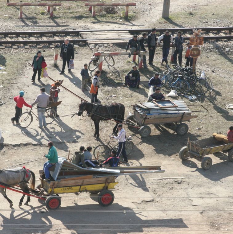 Стотици роми разграбиха фалирала мандра