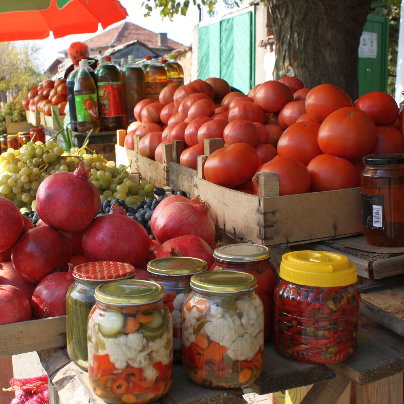 За Русия България не изнася хранителни суровини, освен плодове