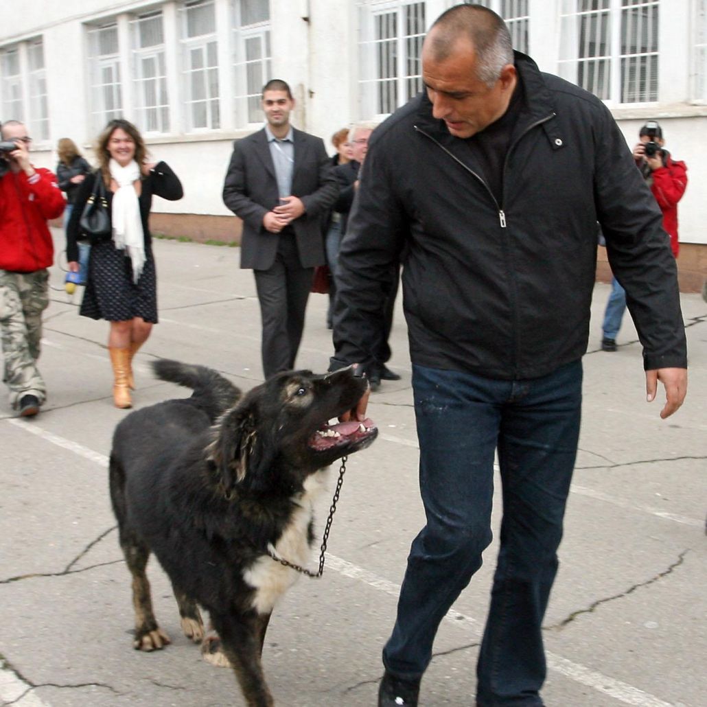 Борисов осъди ”бесенето” на кучета