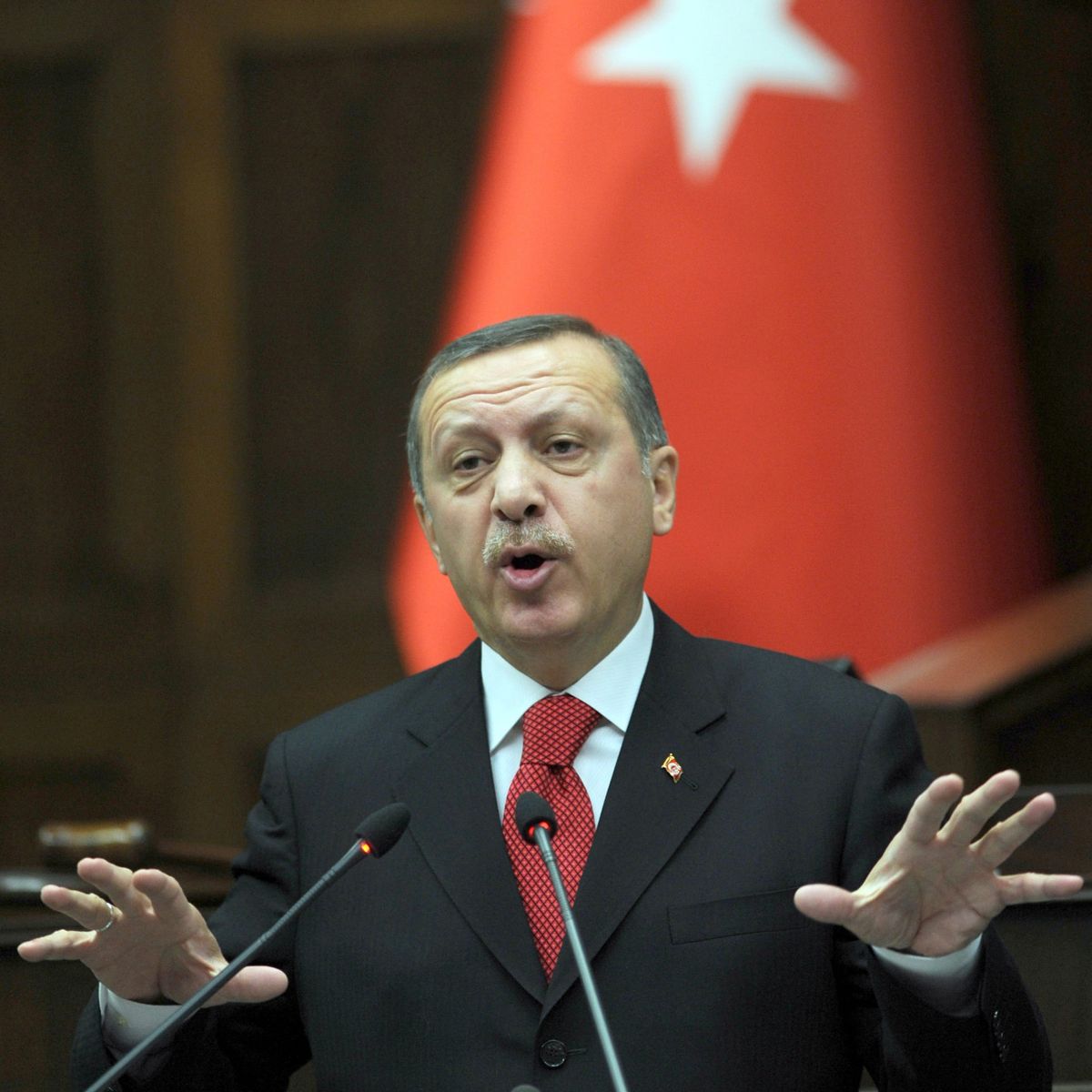 Турският премиер Реджеп Тайип Ердоган обяви, че Анкара отменя всички двустранни политически визити