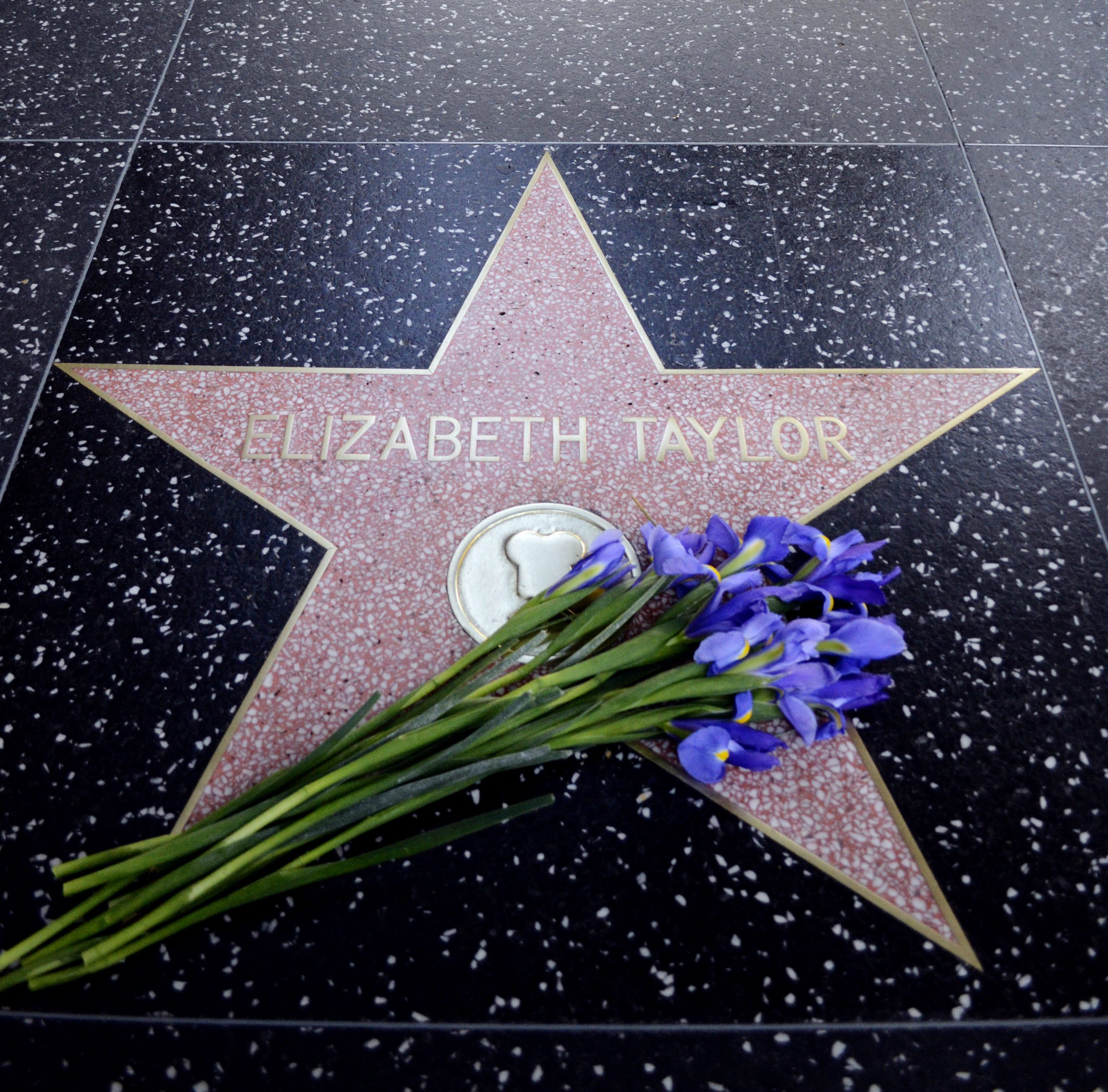 Звездата на Елизабет Тейлър на Алеята на славата в Холивуд