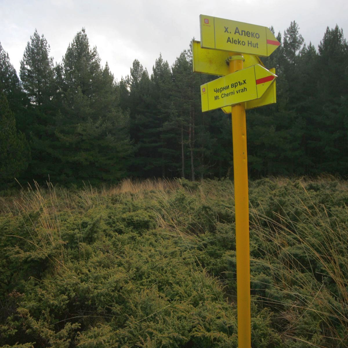 Нова маркировка по два маршрута на Витоша