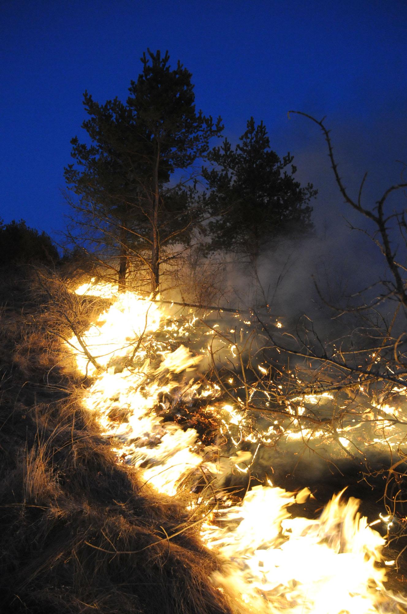 Още гасят 2 пожара- в Родопите и Плана планина