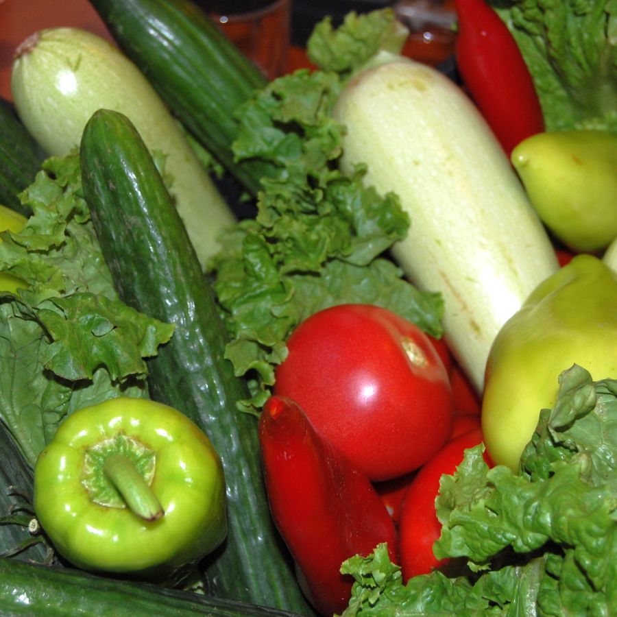 Зеленчуци, салата, домати, краставици, чушки