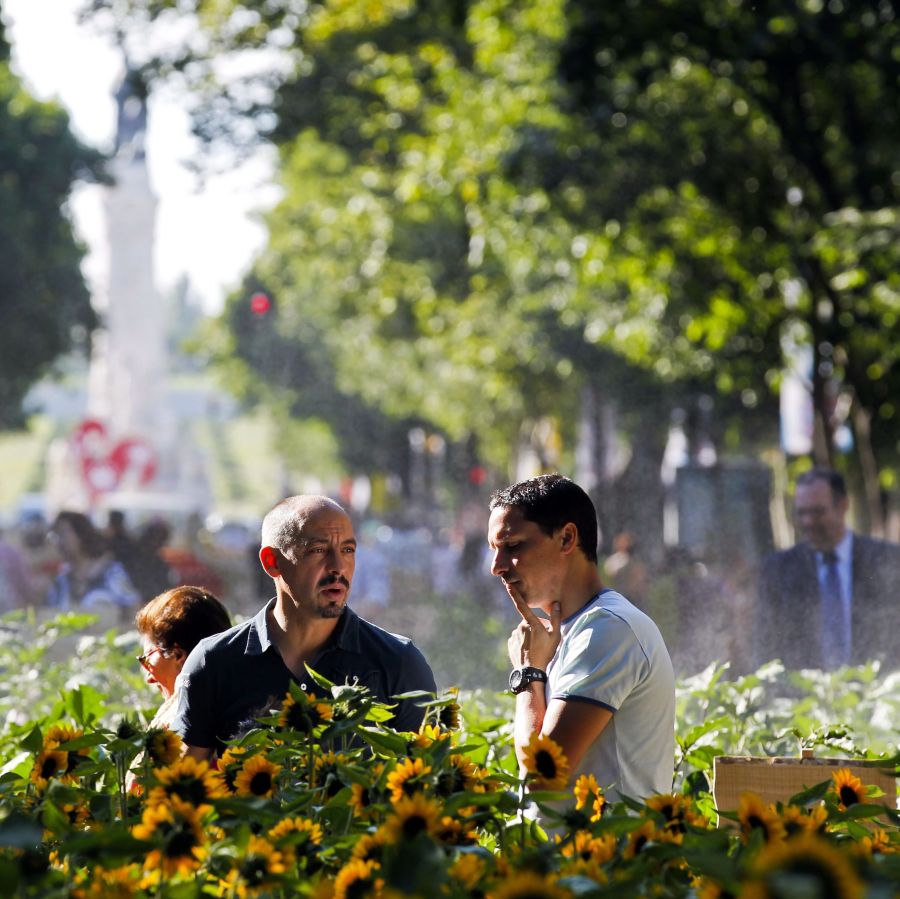 Хората в Хелзинки са най-честните в света