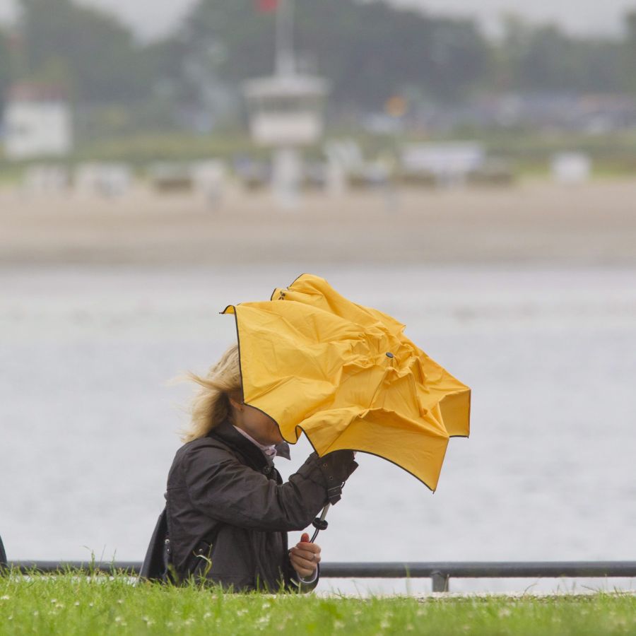 През седмицата ни очаква променливо време