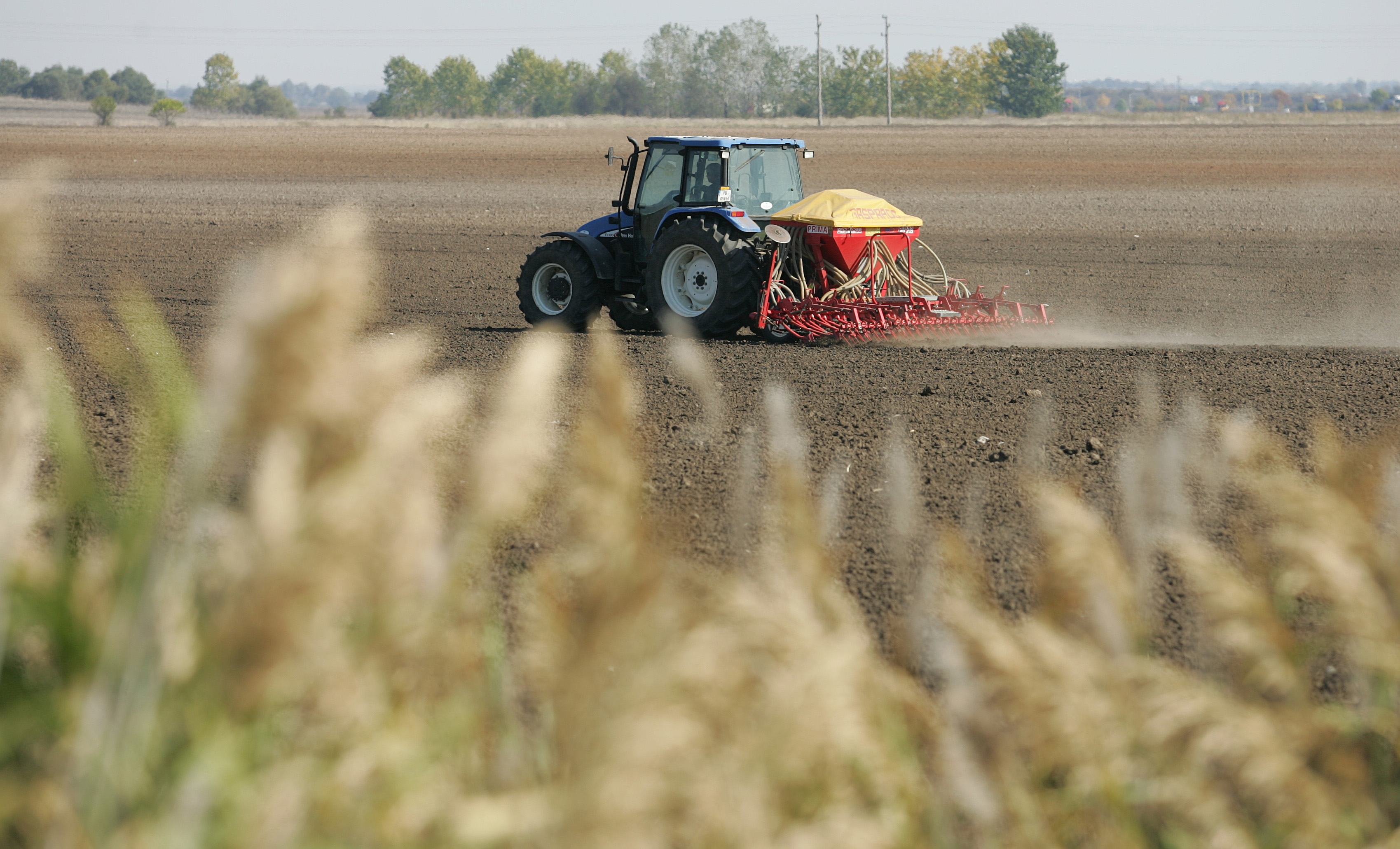 Изнудваният от Аврамов бизнесмен: Поиска 100 000 лв. и 3000 дка