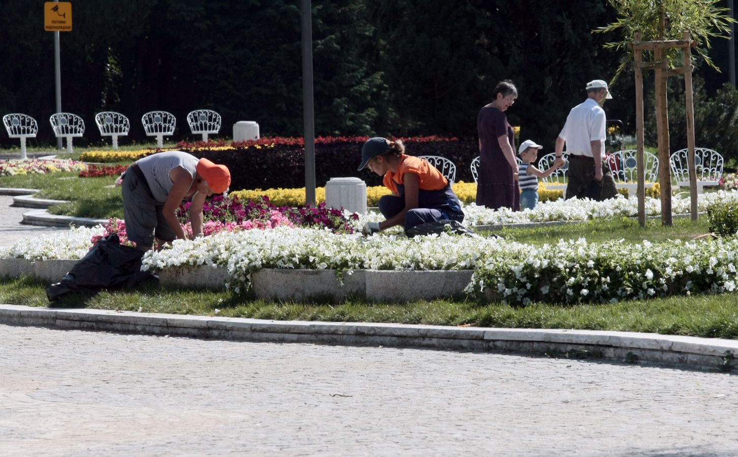 Ремонтирана беше и цветната изложба пред езерото