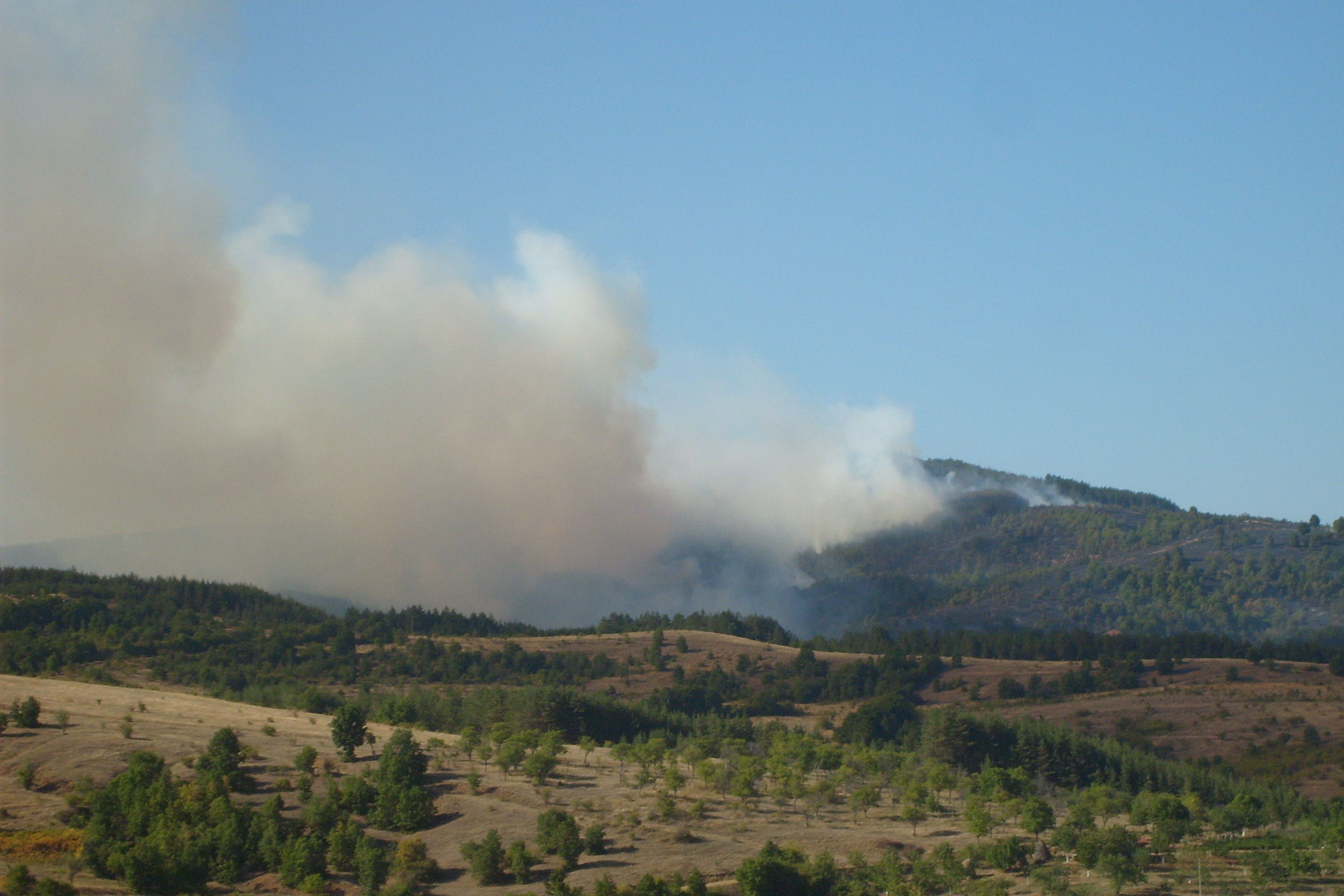 200 дка гора изгоряха край село Фролош