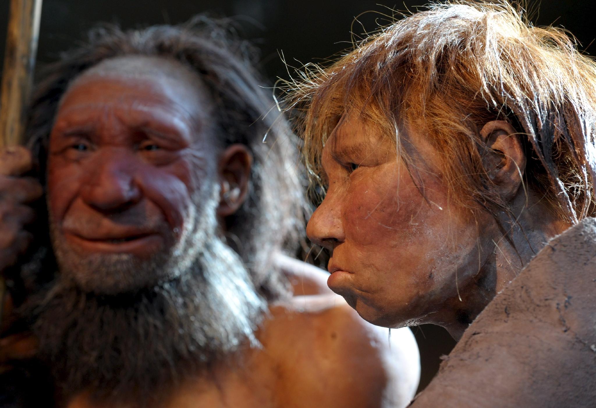 Pikaia gracilens е прародител и на човека (снимка на модели на неандерталци в музея Метман, Германия)